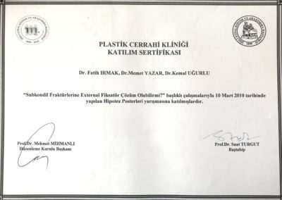 2010 Etfal Hypothesis