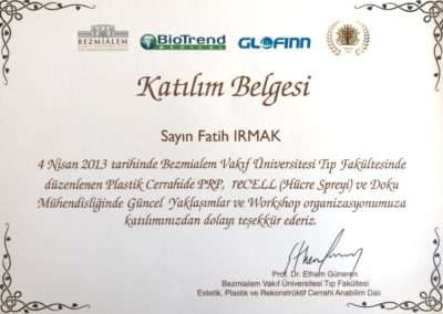 Bezmialem Workshop 2013